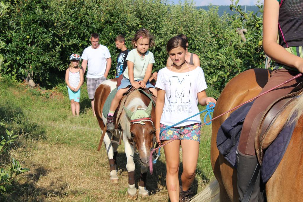 Schoetzerhof Mölten Dış mekan fotoğraf