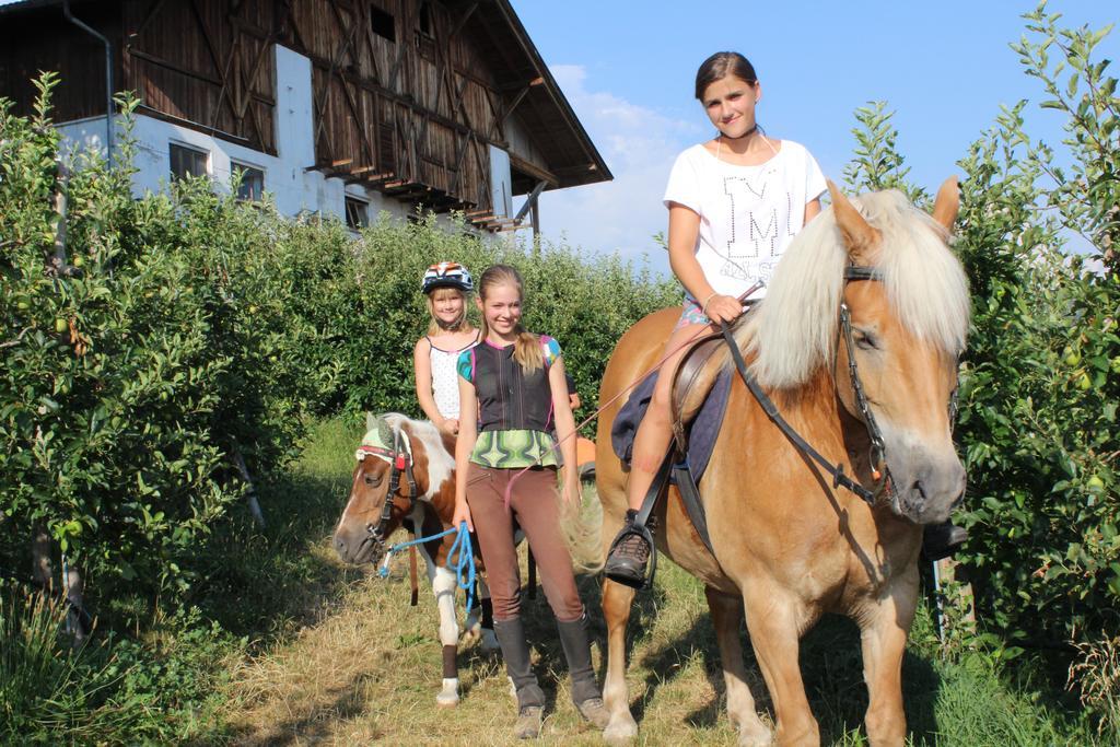 Schoetzerhof Mölten Dış mekan fotoğraf