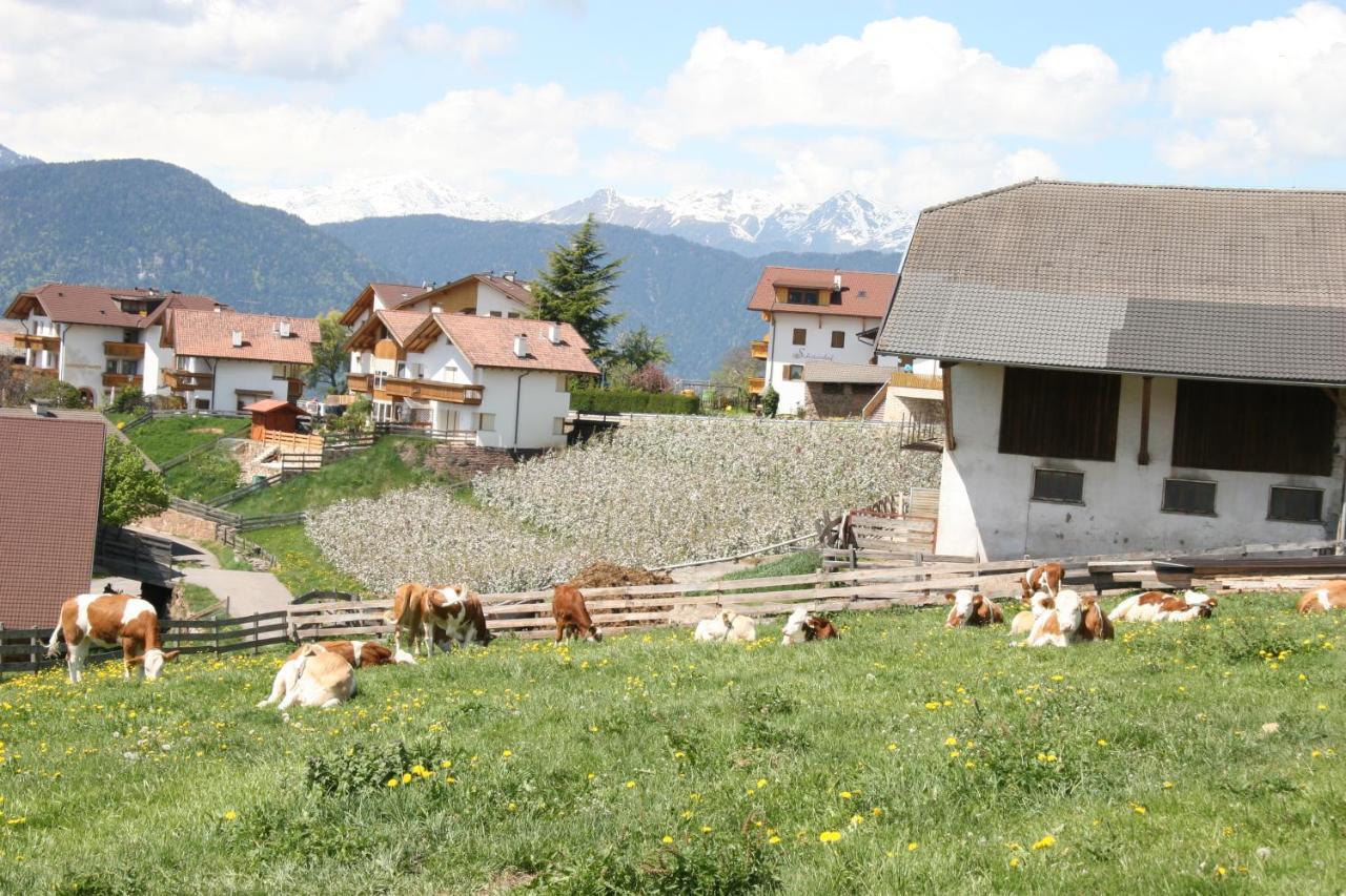Schoetzerhof Mölten Dış mekan fotoğraf